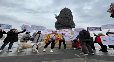 Konya'da hayvanseverlerden 