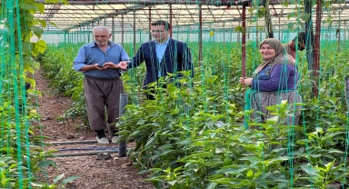 Milletvekili Uslu, Kumluca'da selden zarar gören çiftçileri ziyaret etti