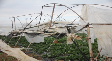 Serik'te hortumdan zarar gören seralarda hasar tespiti yapıldı