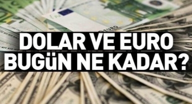 Dolar Euro Bugün Ne Kadar?