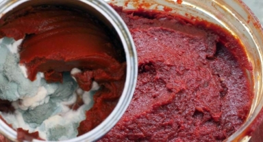 Aşçıların Vazgeçilmezi: Bir Damlası Salçadaki Küfü Yok Etmeye Yetiyor