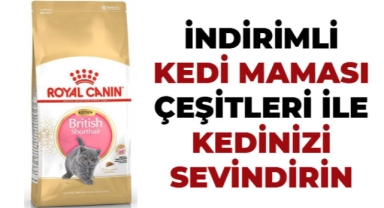 İndirimli Kedi Maması Çeşitleri İle Kedinizi Sevindirin