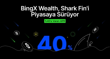 BingX Wealth, %40'a Varan APR ile Shark Fin'i Piyasaya Sürüyor