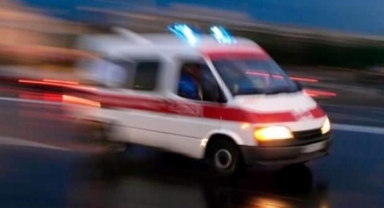 Hizan’da üzerine ağaç devrilen adam hayatını kaybetti