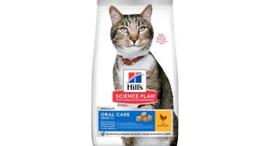 Seçici Kedilerin Bile Severek Tükettiği Kedi Maması Çeşitleri Hangileri