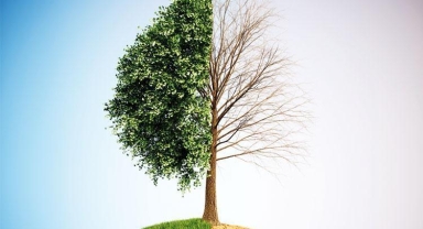 Belediyelerden 'yeşil yatırım' beklentisi