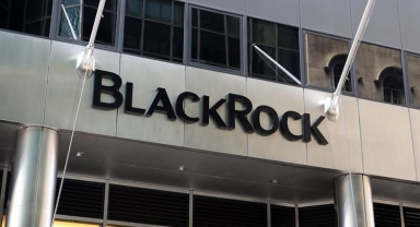 BlackRock'tan dev satın alma
