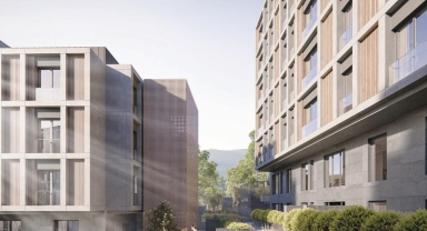 Yatırım hamlesi için faizi bekliyor