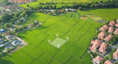 İşlenmeyen Tarım arazileri kiraya verilecek