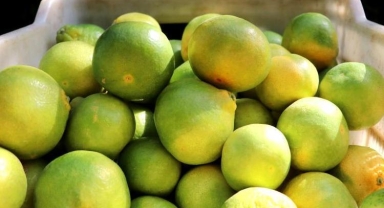 Tarımsal uygulamalara üretim planlaması geliyor