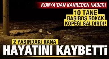 Konya'dan Kahreden haber! 10 tane sokak köpeği saldırdığı 2 yaşındaki Rana hayatını kaybetti
