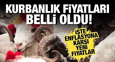 Kurbanlık fiyatları belli oldu! İşte beklenen yeni fiyatlar