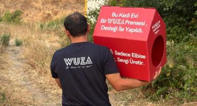 Moda ile Merhamet Buluştu: WUZA’dan Kedilere Özel Proje