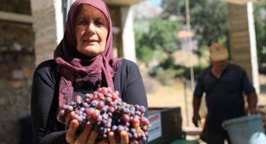Antalya'da Çiftçilere Üzüm Sıkma Makinesi Desteği