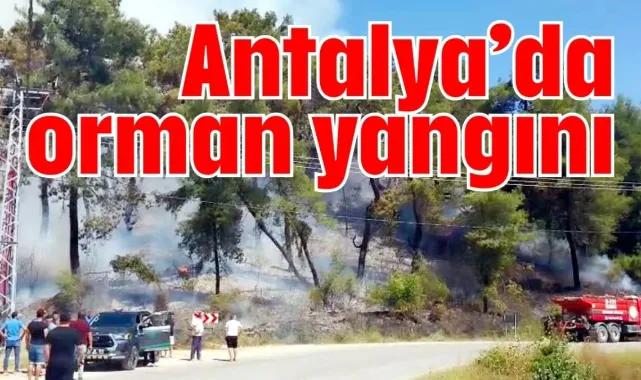 Antalya'da orman yangını