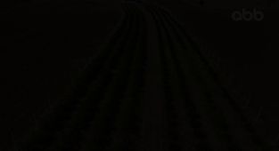 Antalya'da Aronya Hasadı Başladı: Büyükşehir Belediyesi'nden Üreticiye Destek