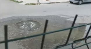 Çevre Cezaları Yağdı: Yalova'da İki Belediyeye Milyonluk Ceza!