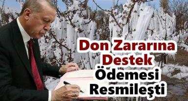 Don Zararına Uğrayan Çiftçilere Destek Ödemesi Resmileşti