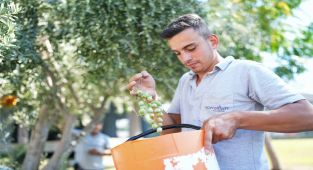 Konyaaltı Belediyesi'nden Minikler İçin Zeytin Hasadı: Kreş ve Gündüz Bakımevlerinde Zeytin Yapımı Etkinliği