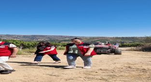 Manisa'da Yasaklı İlaçla Yetiştirilen 6 Ton Üzüm İmha Edildi