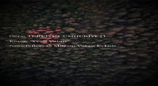 Milli Eğitim Bakanlığı'ndan 'Yeşil Vatan' Dersine Önem Vurgusu: 18 Milyon Vatan Evladı Sorumluluk Alıyor