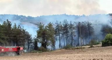 Osmaniye’de Orman Yangını: Müdahale Sürüyor