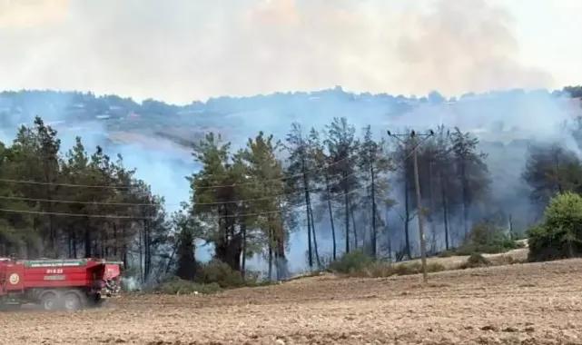 Osmaniye’de Orman Yangını: Müdahale Sürüyor