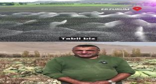 DSİ'den Sulu Tarıma Destek: Çiftçi Geliri ve Ürün Çeşitliliği Artıyor