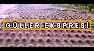 Güller Ekspresi Isparta ve Burdur'u Doğayla Buluşturuyor