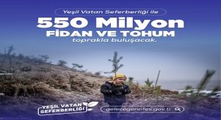 Yeşil Vatan Seferberliği Kapsamında 550 Milyon Fidan Toprakla Buluştu