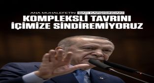 Erdoğan’dan CHP Lideri Özel’in Uluslararası Tutumuna Sert Eleştiri