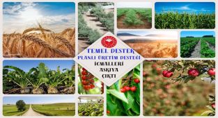 Karaman'da Temel Destek ve Planlı Üretim İcmalleri Askıya Çıktı