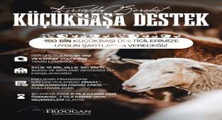 Erdoğan'dan Küçükbaş Hayvancılığa Destek Projesi: 'Kırsalda Bereket, Küçükbaşa Destek'