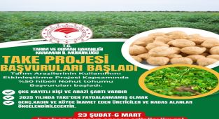 Karaman'da %50 Hibeli Nohut Tohumu Desteği Başvuruları Başladı