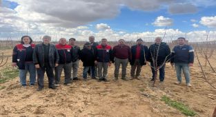 Ayrancı'da Meyve Ağaçlarında Budama Eğitimi Verildi