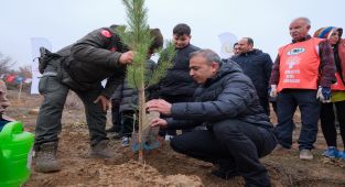 Karaman Valisi Hayrettin Çiçek, Orman Haftası Etkinliğine Katıldı