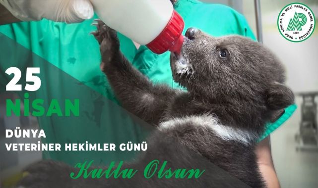 Antalya'dan Veteriner Hekimlere Kutlama: Doğa Onlarla Daha Güçlü