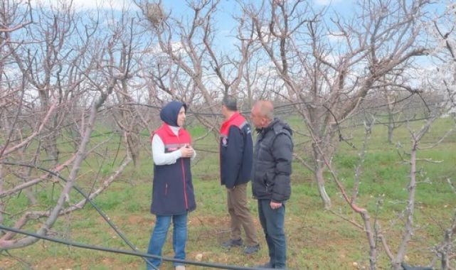 Elma Bahçelerinde Fenolojik Gözlem Yapıldı