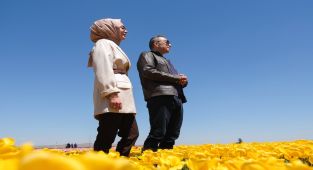 Karaman Valisi Hayrettin Çiçek, Türkiye'nin En Büyük Lale Bahçesini Ziyaret Etti