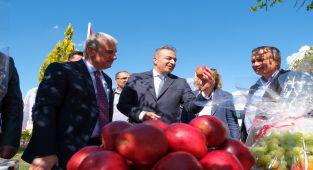 Karaman ve Konya Valileri, Dev Elma Bahçesinde İnceleme Yaptı