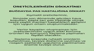 Ankara'da Buğdayda Pas Hastalığı Uyarısı: Üreticilere Koruyucu İlaçlama Tavsiyesi
