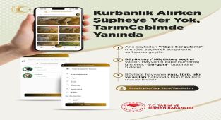 TarımCebimde Uygulamasıyla Kurbanlık Hayvan Bilgileri Cepte
