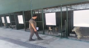 Antalya'da Bayram Boyunca Sahipsiz Hayvan Bakımevleri Denetlendi
