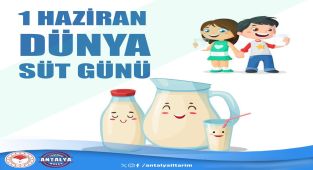 Antalya'da Süt ve Süt Ürünlerinin Önemi Vurgulandı: Dünya Süt Günü Kutlandı