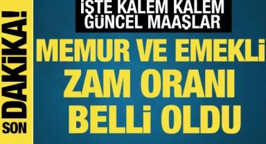 Milyonlarca memur ve memur emeklisinin beklediği zam oranı belli oldu! İşte güncel maaşlar