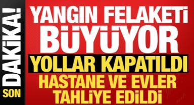 Muğla, Balıkesir ve Antalya'da orman yangını! Alevler kontrolden çıktı, karayolu kapatıldı