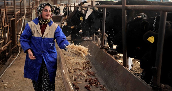 4 Bilezikle Milyonluk Servete Ulaştı