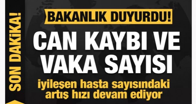 Koronavirüsten can kaybı ve vaka sayısı