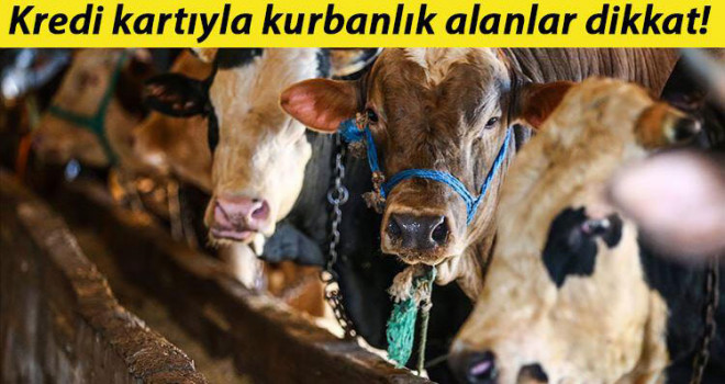 Diyanet'ten kredi kartıyla kurban satışı uyarısı
