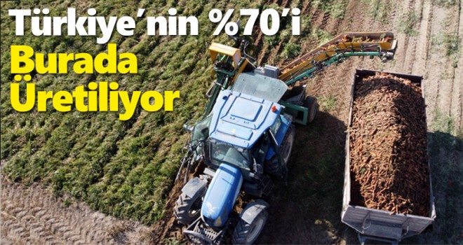 Türkiye'deki havucun yüzde 70'i Kaşınhanı'da üretiliyor